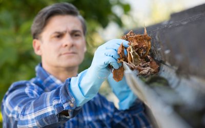 Four Ways to Clean Your Gutters This Fall