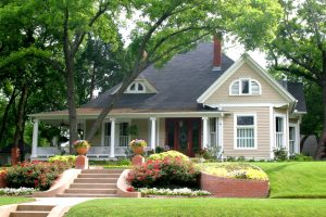 keep trees around your home healthy